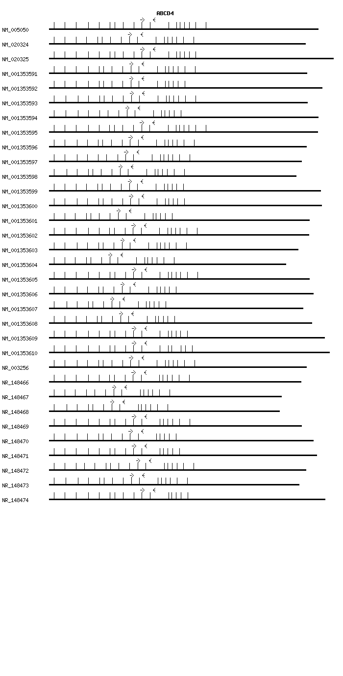 Human ABCD4 qPCR primer set (NM_005050)