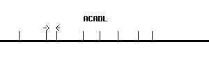 Human ACADL qPCR primer set (NM_001608)
