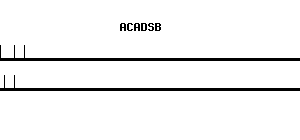 Human ACADSB qPCR primer set (NM_001609)
