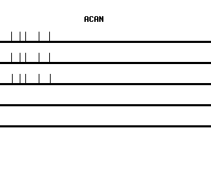 Human ACAN qPCR primer set (NM_001135)