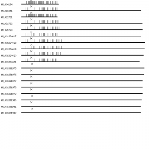 Human ADAM22 qPCR primer set (NM_004194)
