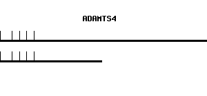 Human ADAMTS4 qPCR primer set (NM_005099)