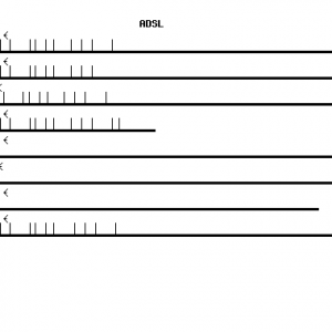 Human ADSL qPCR primer set (NM_000026)