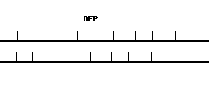 Human AFP qPCR primer set (NM_001134)