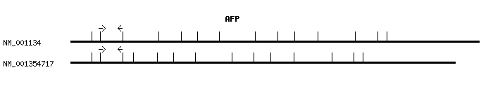 Human AFP qPCR primer set (NM_001134)
