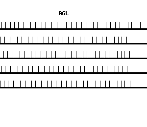 Human AGL qPCR primer set (NM_000028)