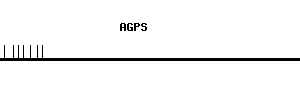 Human AGPS qPCR primer set (NM_003659)