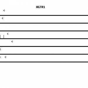 Human AGTR1 qPCR primer set (NM_000685)