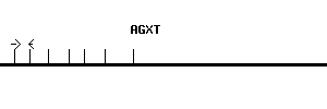 Human AGXT qPCR primer set (NM_000030)