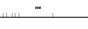 Human AHR qPCR primer set (NM_001621)