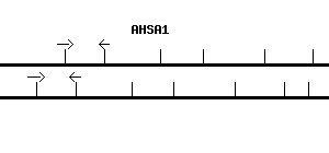 Human AHSA1 qPCR primer set (NM_012111)