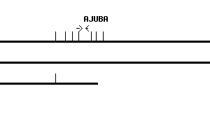 Human AJUBA qPCR primer set (NM_032876)