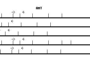 Human AMT qPCR primer set (NM_000481)
