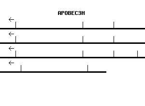 Human APOBEC3H qPCR primer set (NM_181773)