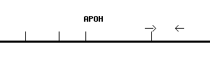 Human APOH qPCR primer set (NM_000042)