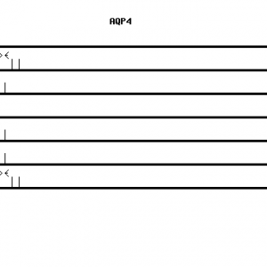 Human AQP4 qPCR primer set (NM_001650)