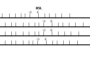 Human ASL qPCR primer set (NM_000048)