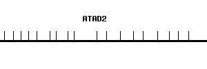 Human ATAD2 qPCR primer set (NM_014109)