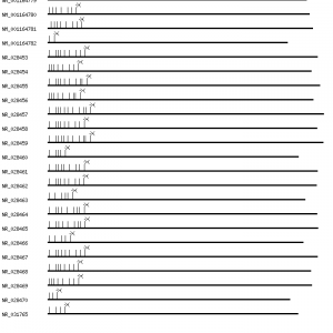 Human ATXN3 qPCR primer set (NM_004993)