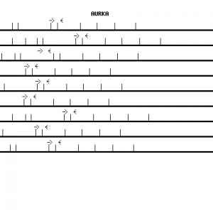 Human AURKA qPCR primer set (NM_003600)