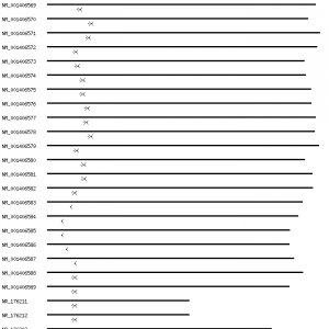 Human BMPR1A qPCR primer set (NM_004329)