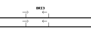 Human BRI3 qPCR primer set (NM_015379)