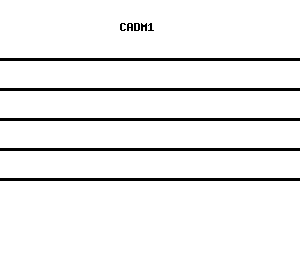 Human CADM1 qPCR primer set (NM_014333)