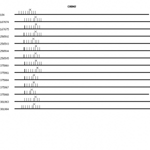 Human CADM2 qPCR primer set (NM_153184)