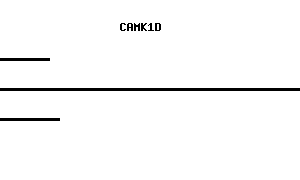 Human CAMK1D qPCR primer set (NM_020397)