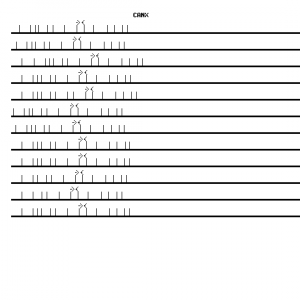 Human CANX qPCR primer set (NM_001746)
