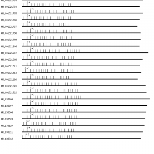 Human CBLB qPCR primer set (NM_170662)