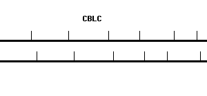 Human CBLC qPCR primer set (NM_012116)