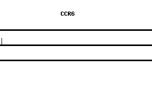 Human CCR6 qPCR primer set (NM_004367)