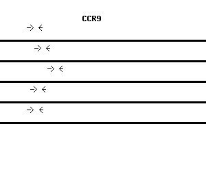 Human CCR9 qPCR primer set (NM_006641)