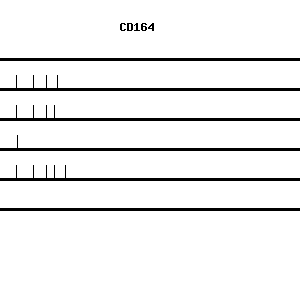 Human CD164 qPCR primer set (NM_006016)