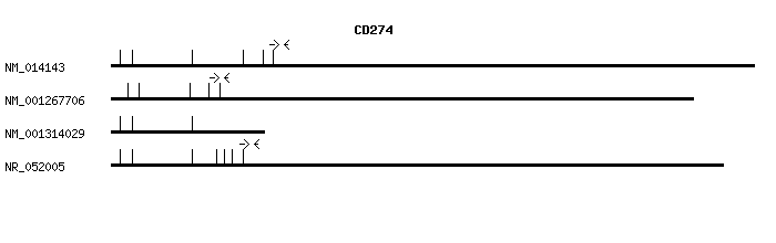 Human CD274 qPCR primer set (NM_014143)