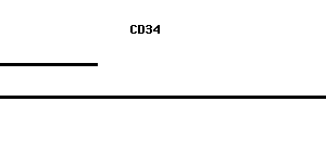 Human CD34 qPCR primer set (NM_001773)