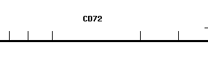 Human CD72 qPCR primer set (NM_001782)