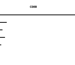 Human CD8B qPCR primer set (NM_004931)