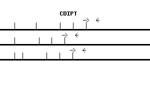 Human CDIPT qPCR primer set (NM_006319)