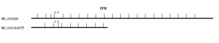 Human CFH qPCR primer set (NM_000186)