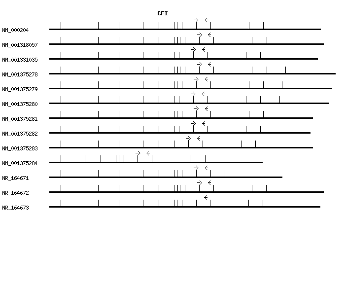 Human CFI qPCR primer set (NM_000204)