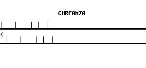 Human CHRFAM7A qPCR primer set (NM_139320)