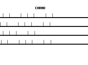 Human CHRND qPCR primer set (NM_000751)
