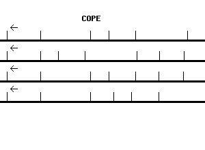 Human COPE qPCR primer set (NM_007263)