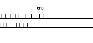 Human CPD qPCR primer set (NM_001304)
