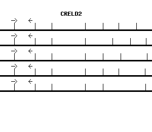 Human CRELD2 qPCR primer set (NM_024324)