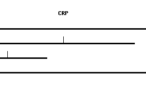 Human CRP qPCR primer set (NM_000567)