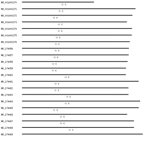 Human CTDSP1 qPCR primer set (NM_021198)