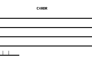 Human CXADR qPCR primer set (NM_001338)